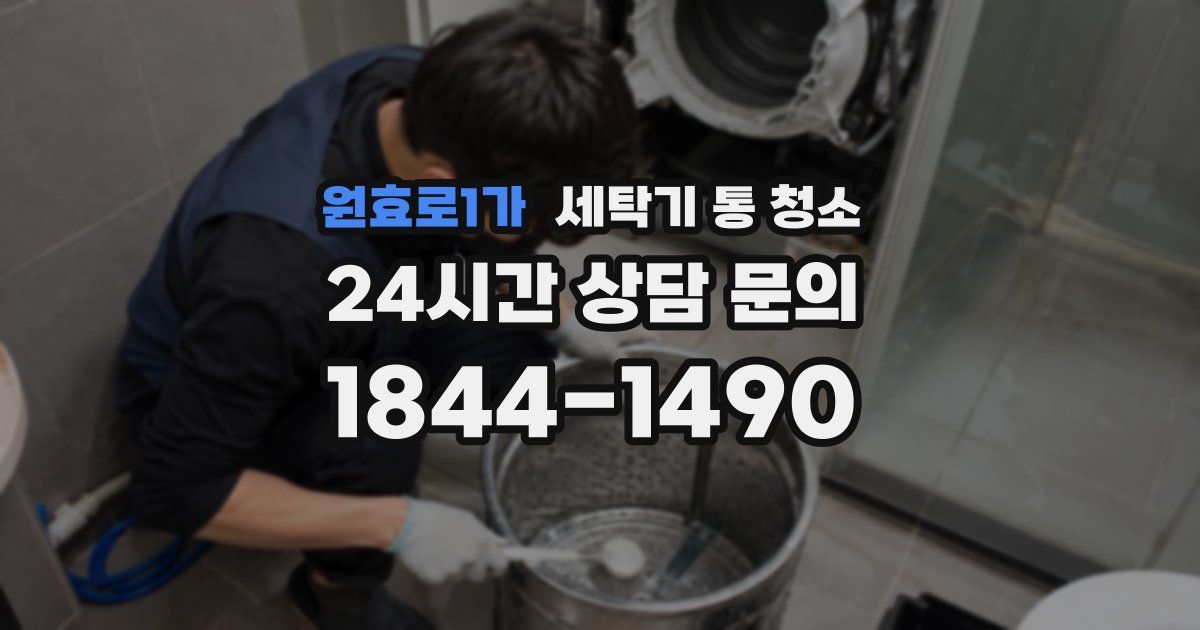 원효로1가 세탁기 통 청소