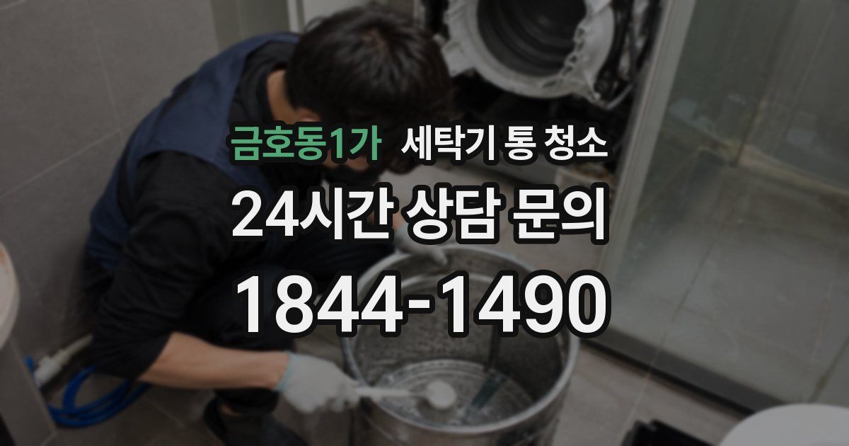 금호동1가 세탁기 통 청소