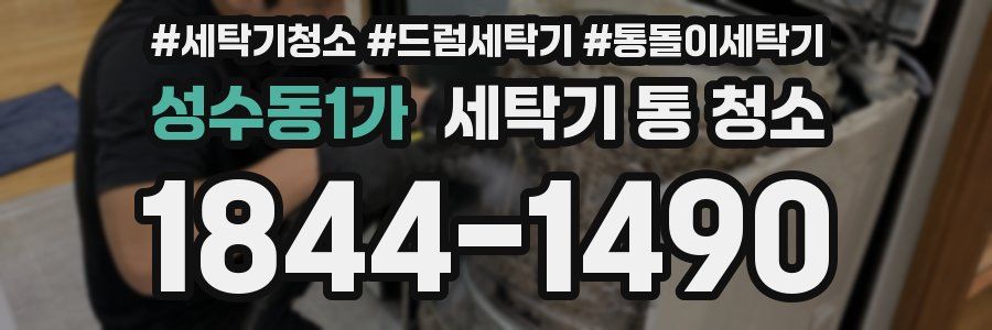 성수동1가 세탁기 통 청소