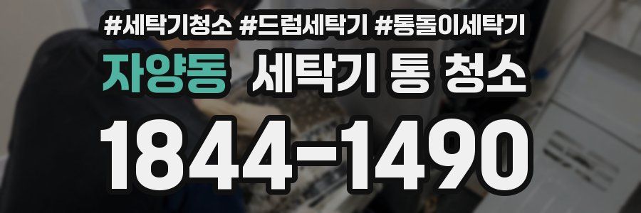 자양동 세탁기 통 청소