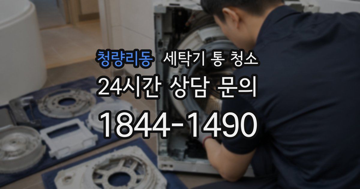 청량리동 세탁기 통 청소