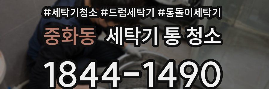 중화동 세탁기 통 청소