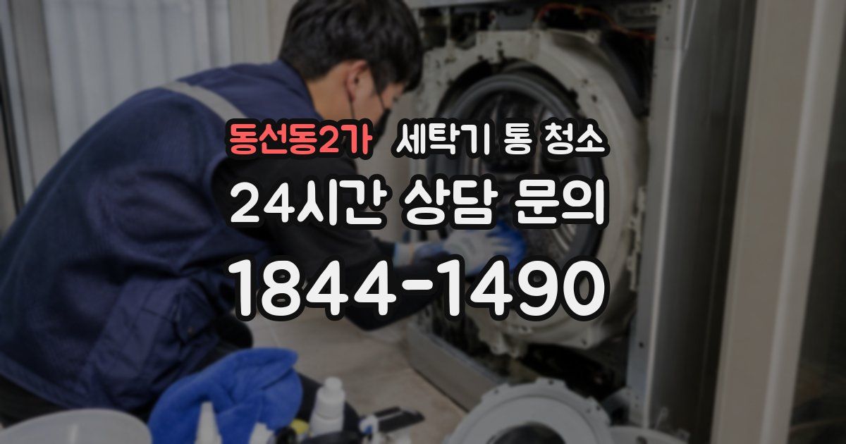 동선동2가 세탁기 통 청소