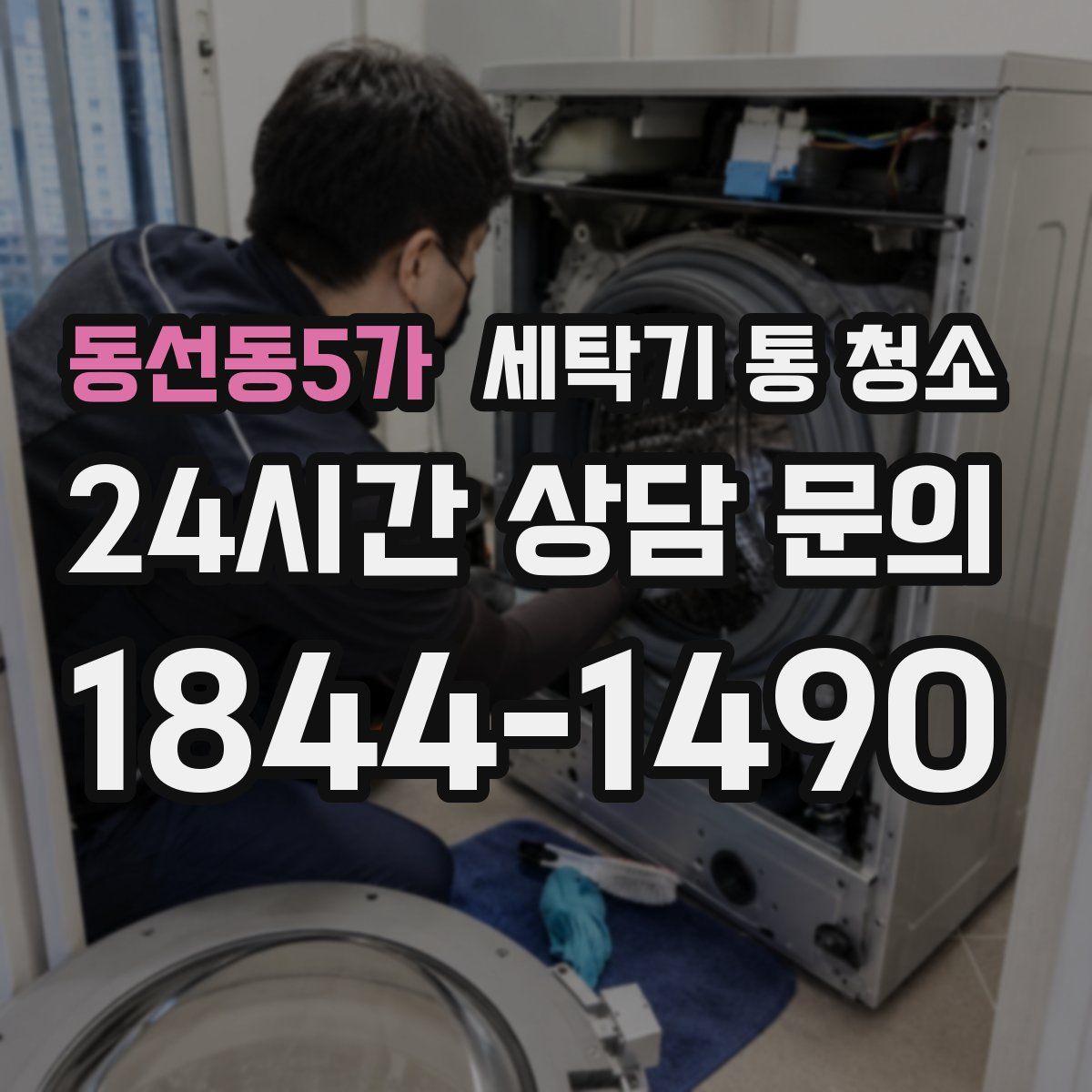 동선동5가 세탁기 통 청소