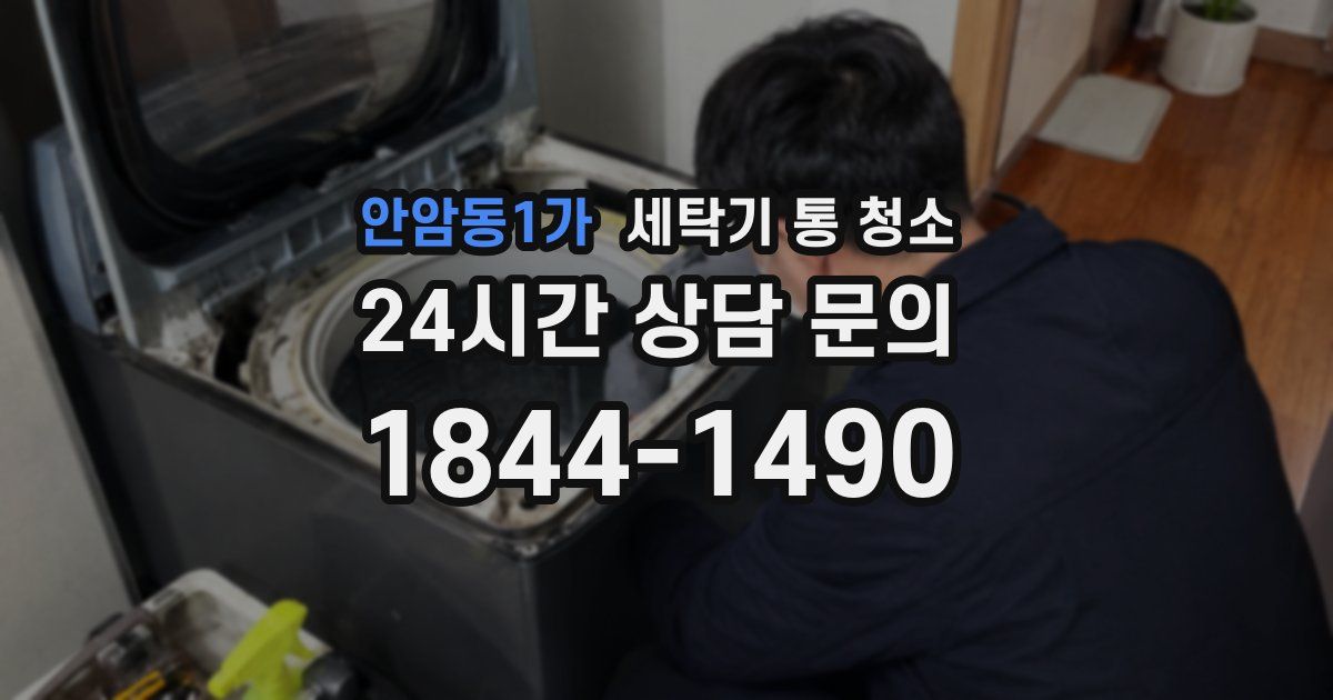 안암동1가 세탁기 통 청소