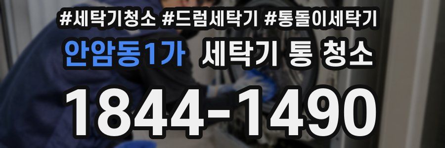 안암동1가 세탁기 통 청소