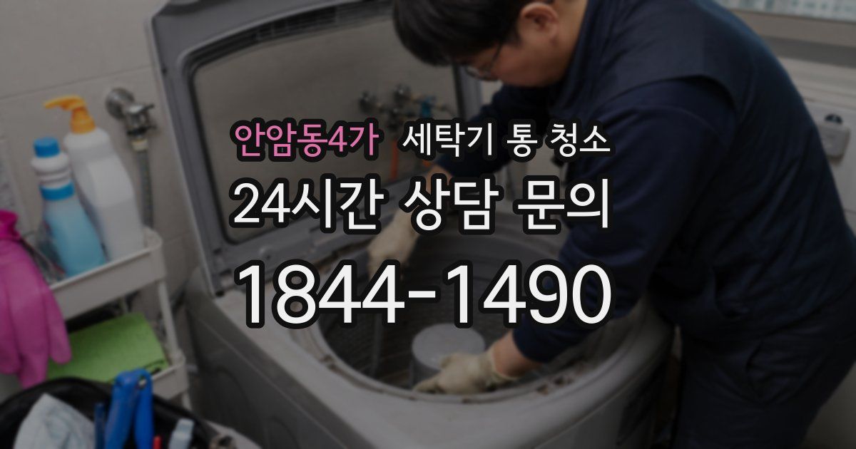 안암동4가 세탁기 통 청소