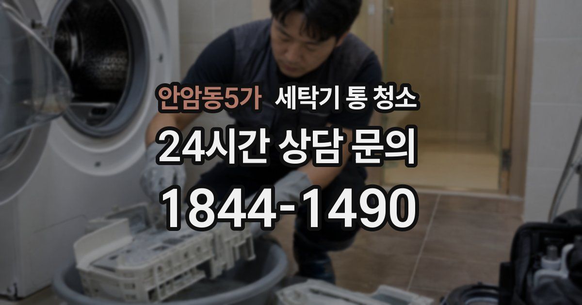 안암동5가 세탁기 통 청소