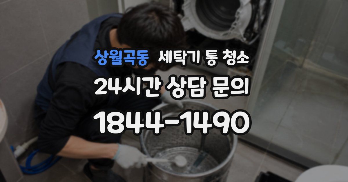 상월곡동 세탁기 통 청소