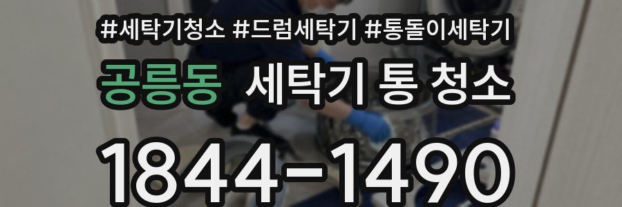 공릉동 세탁기 통 청소