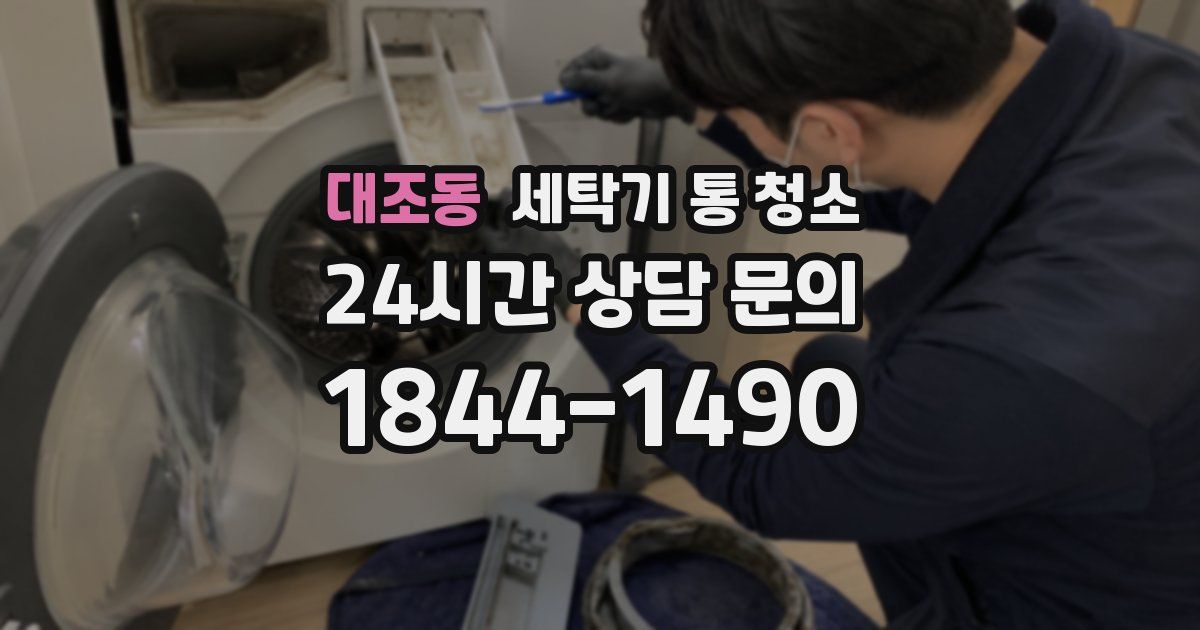 대조동 세탁기 통 청소