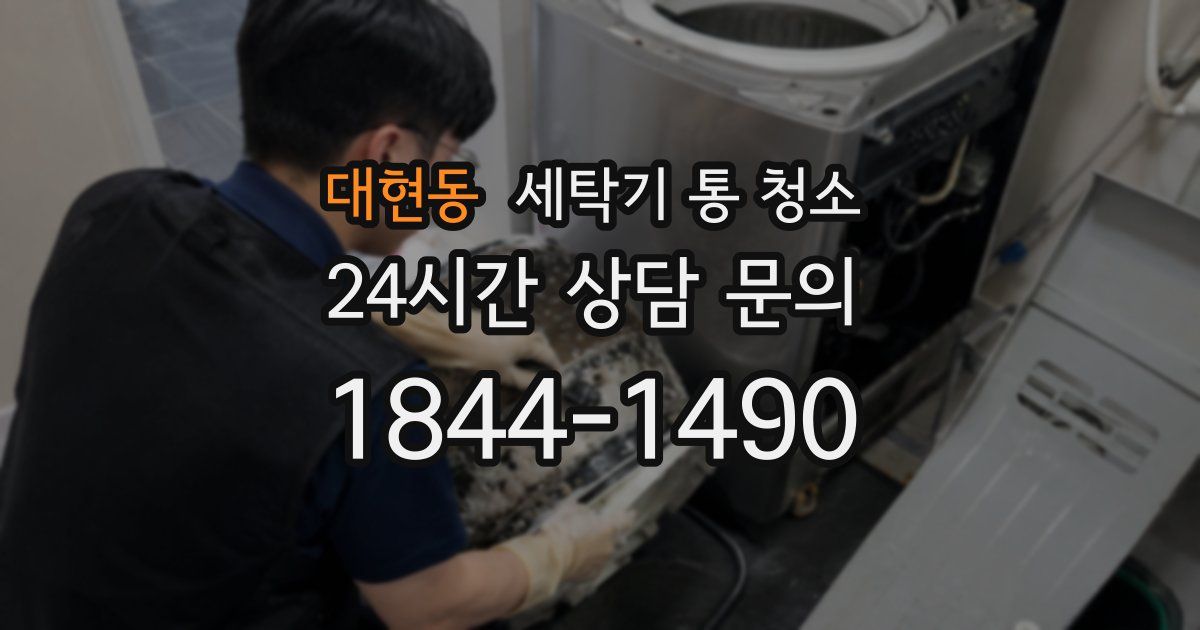 대현동 세탁기 통 청소