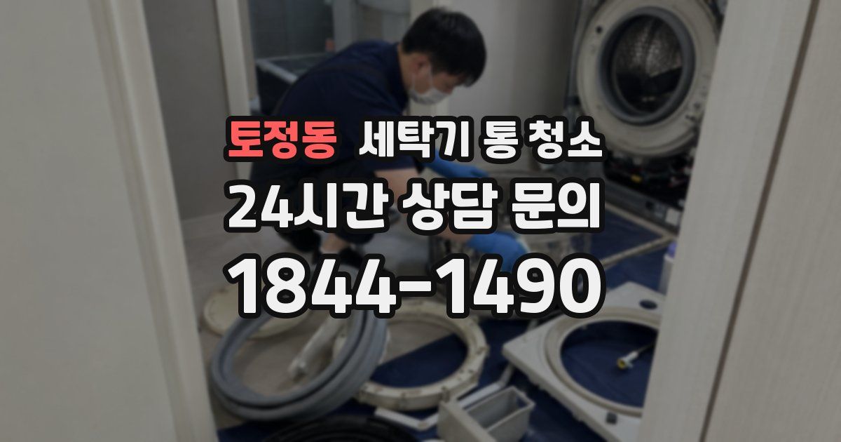 토정동 세탁기 통 청소