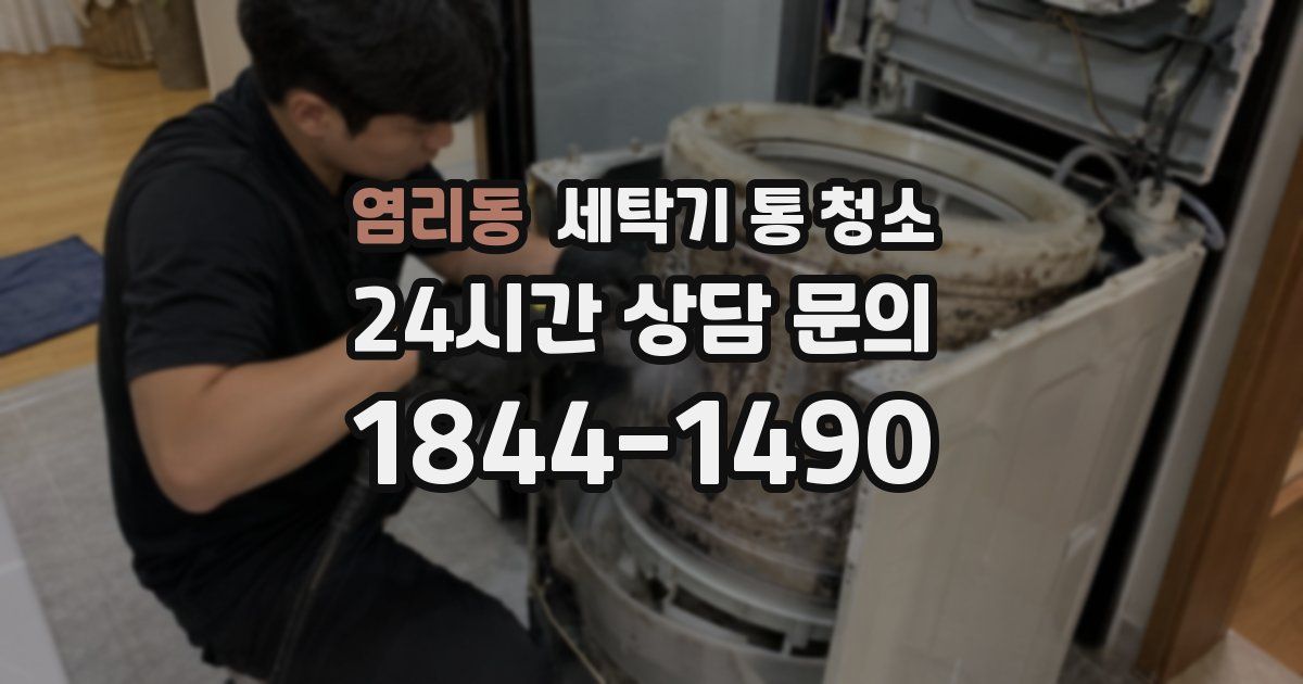 염리동 세탁기 통 청소