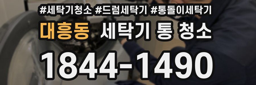 대흥동 세탁기 통 청소