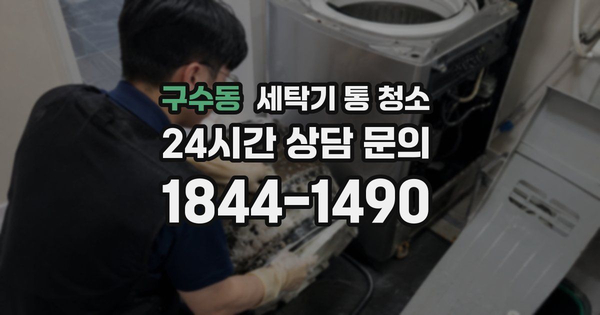 구수동 세탁기 통 청소