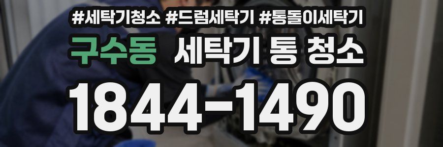 구수동 세탁기 통 청소