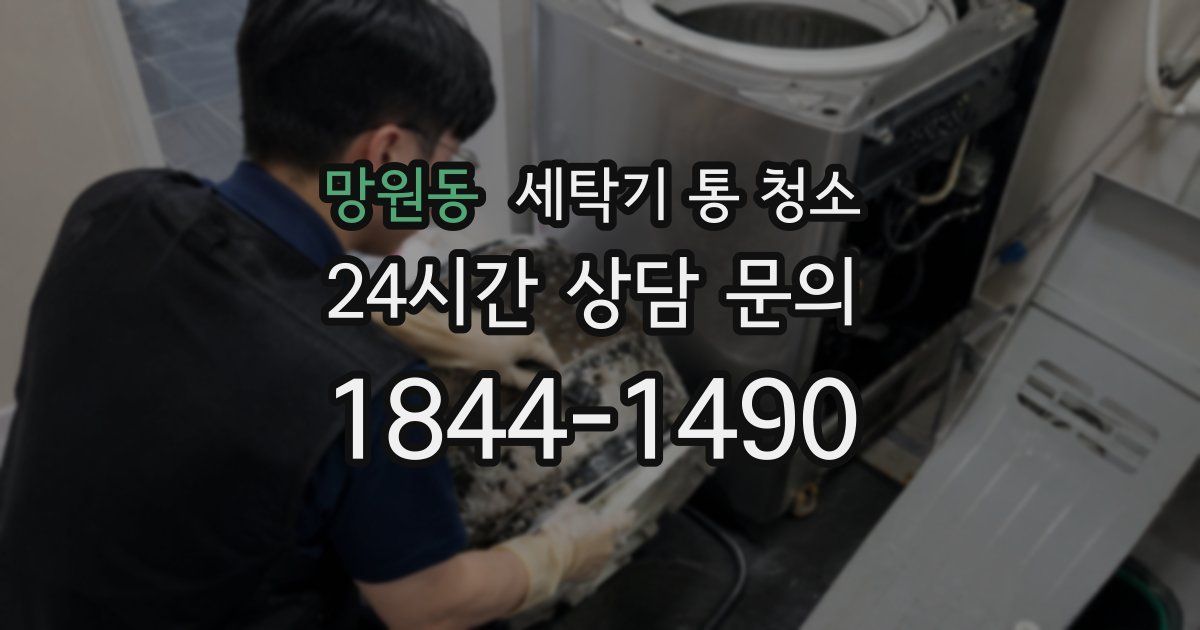 망원동 세탁기 통 청소