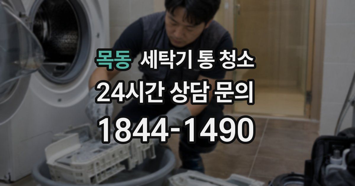 목동 세탁기 통 청소