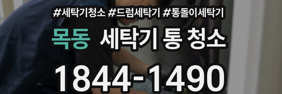 목동 세탁기 통 청소