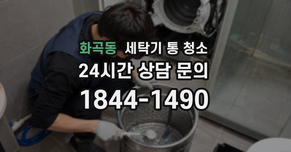 화곡동 세탁기 통 청소