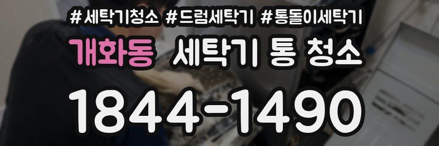 개화동 세탁기 통 청소