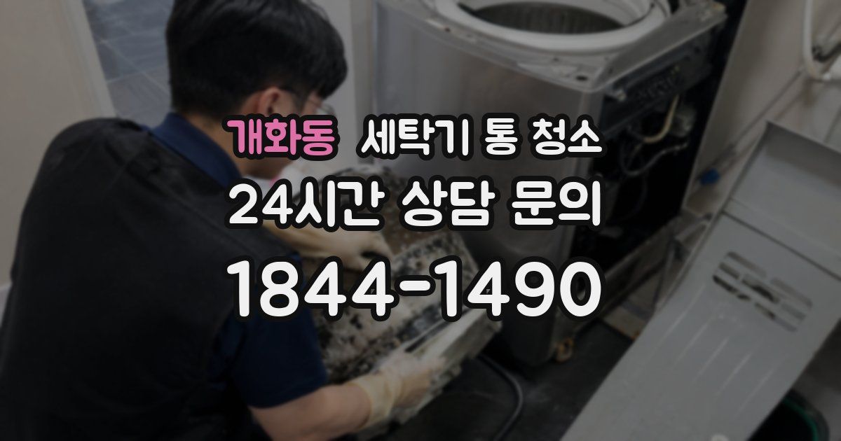 개화동 세탁기 통 청소