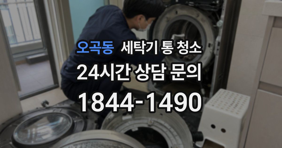 오곡동 세탁기 통 청소