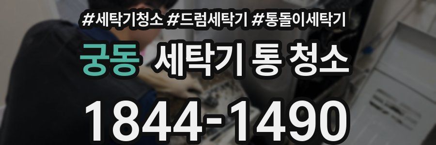 궁동 세탁기 통 청소