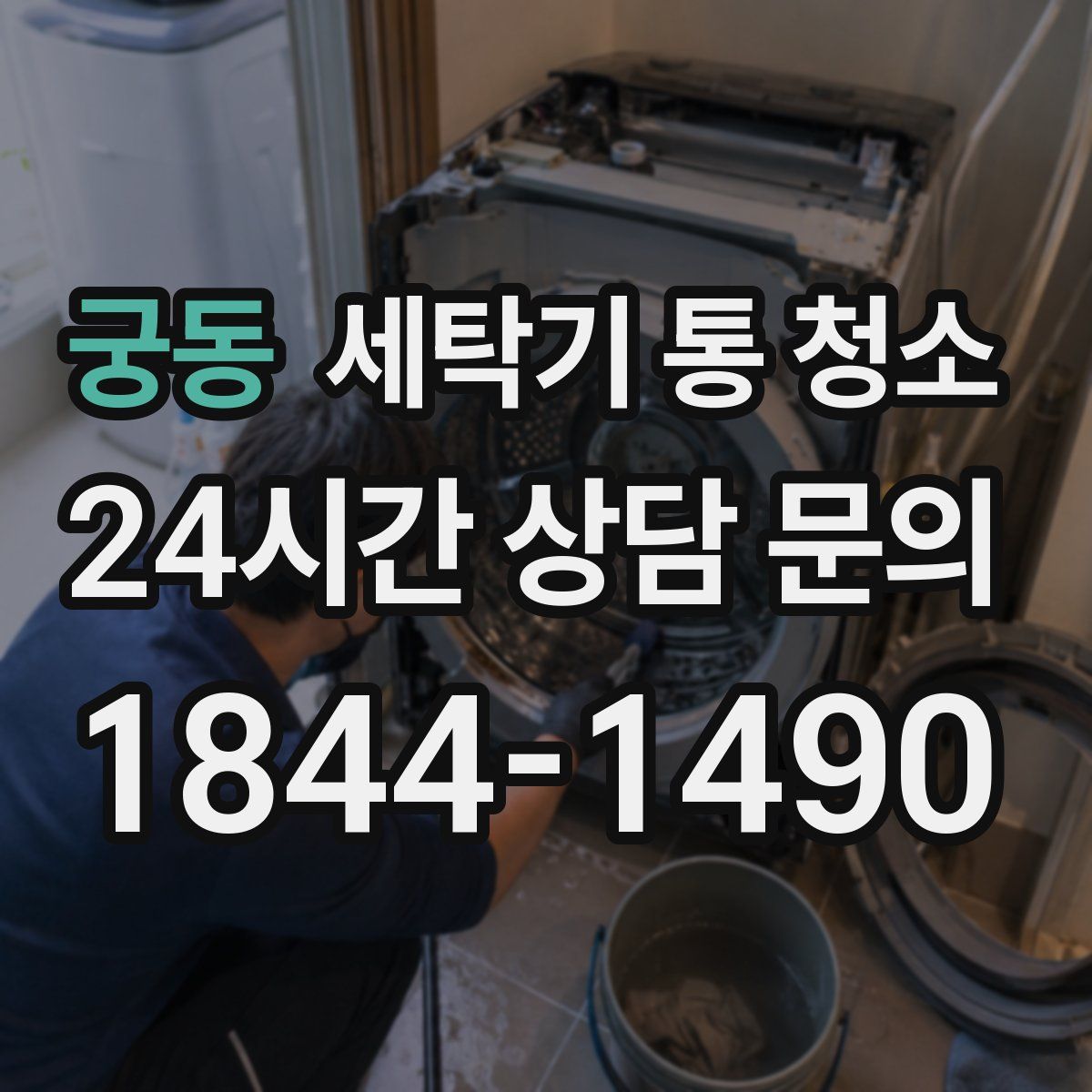 궁동 세탁기 통 청소