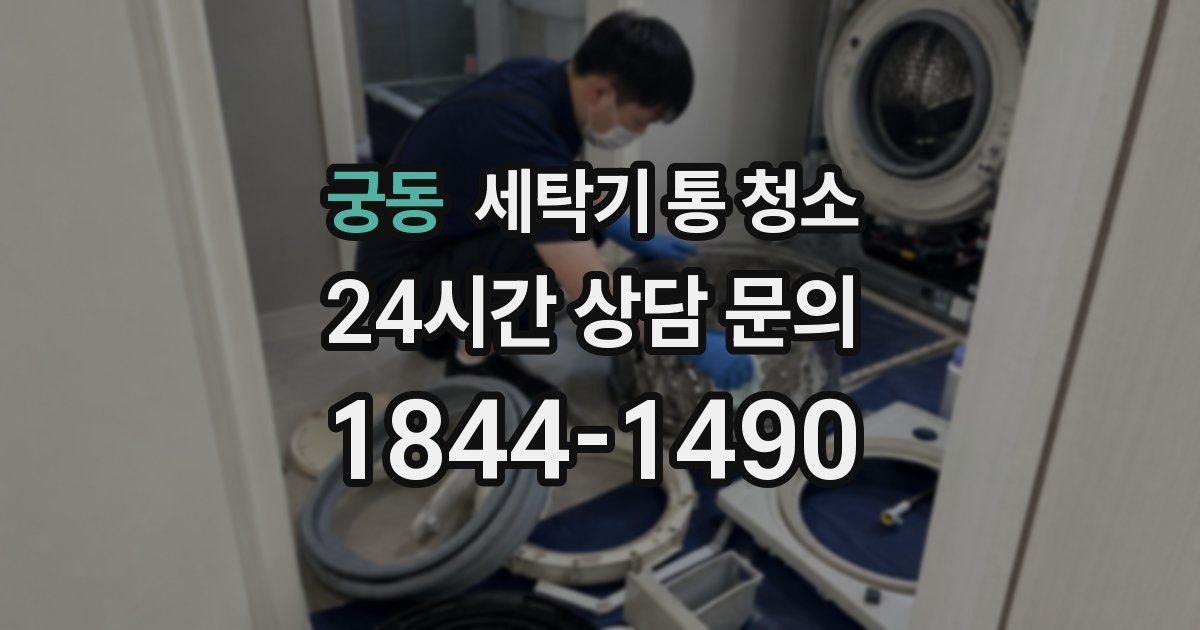 궁동 세탁기 통 청소