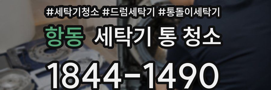 항동 세탁기 통 청소