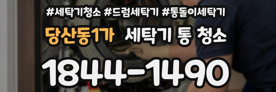당산동1가 세탁기 통 청소