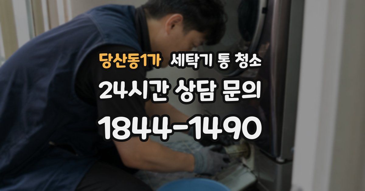 당산동1가 세탁기 통 청소