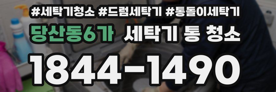 당산동6가 세탁기 통 청소