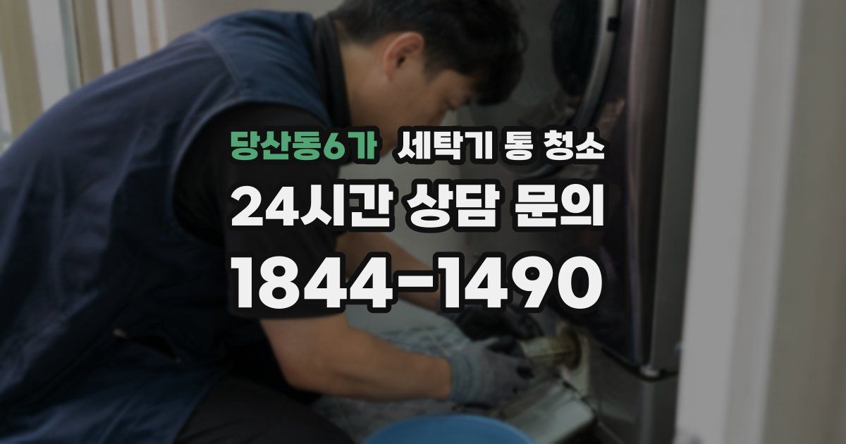 당산동6가 세탁기 통 청소