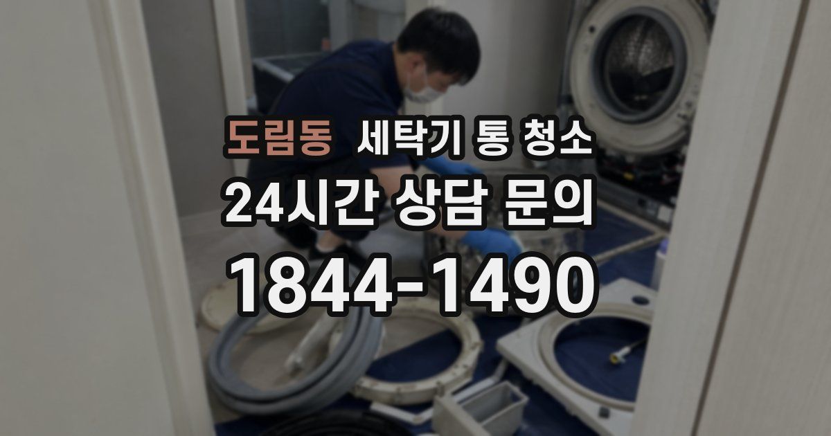 도림동 세탁기 통 청소