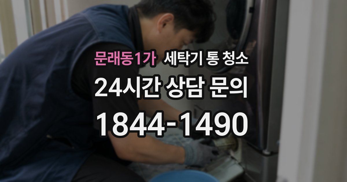 문래동1가 세탁기 통 청소