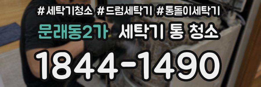 문래동2가 세탁기 통 청소