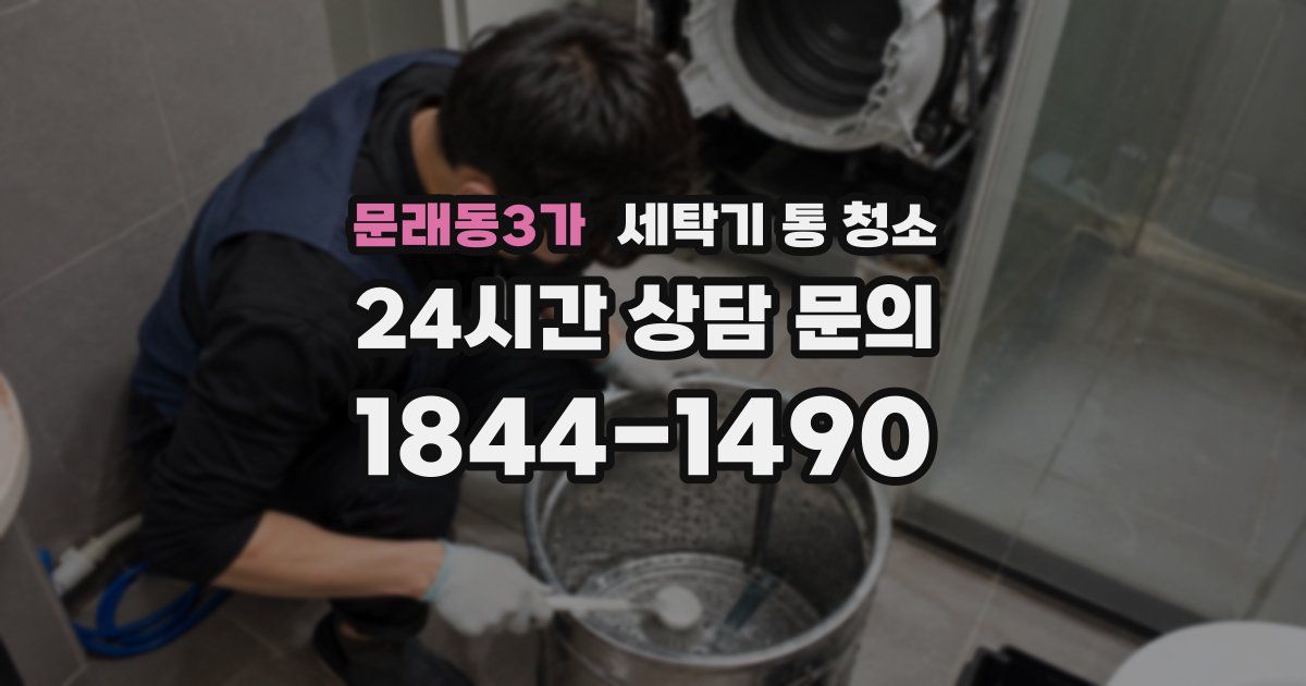 문래동3가 세탁기 통 청소