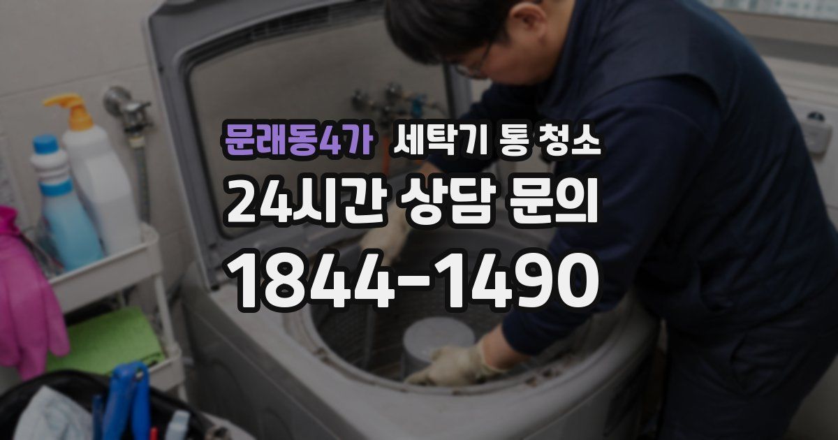 문래동4가 세탁기 통 청소