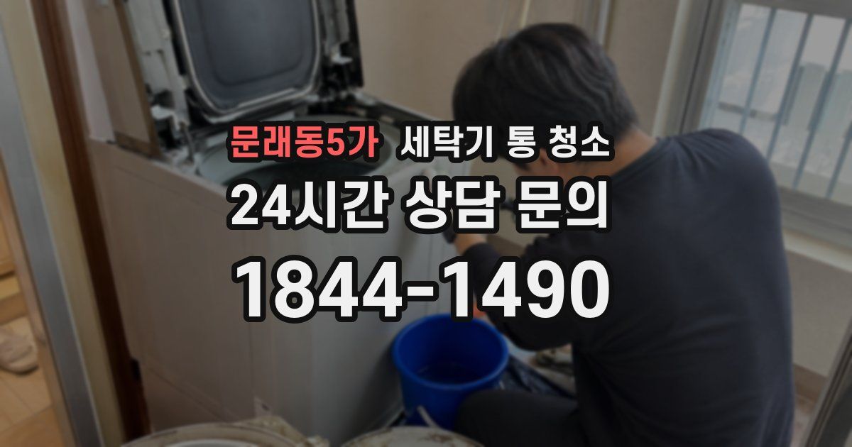 문래동5가 세탁기 통 청소
