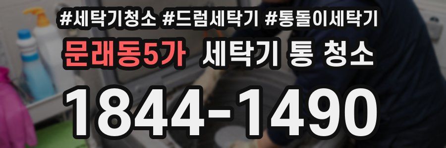 문래동5가 세탁기 통 청소