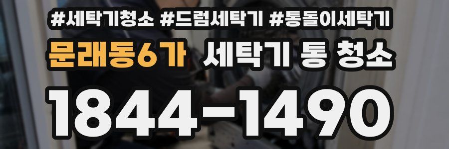 문래동6가 세탁기 통 청소