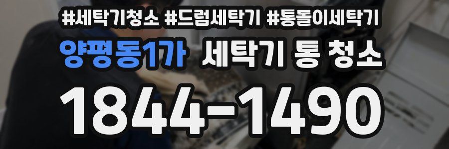 양평동1가 세탁기 통 청소
