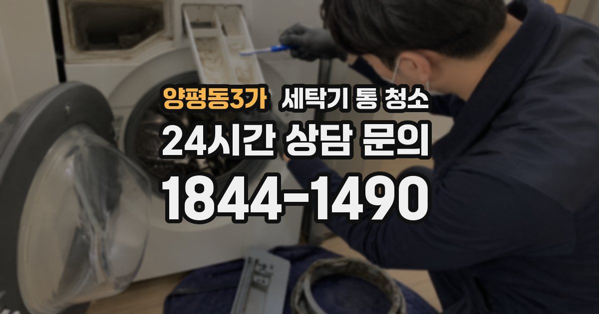 양평동3가 세탁기 통 청소