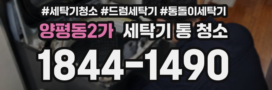 양평동2가 세탁기 통 청소