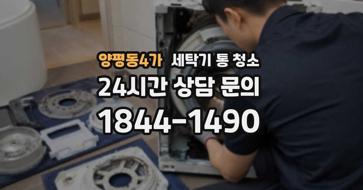 양평동4가 세탁기 통 청소