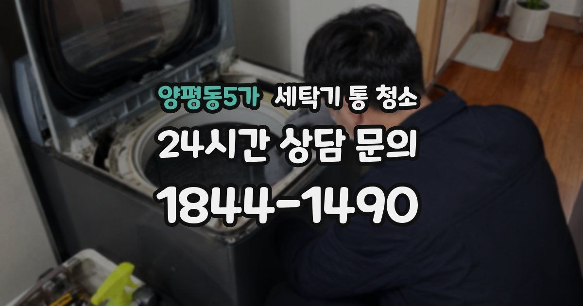 양평동5가 세탁기 통 청소