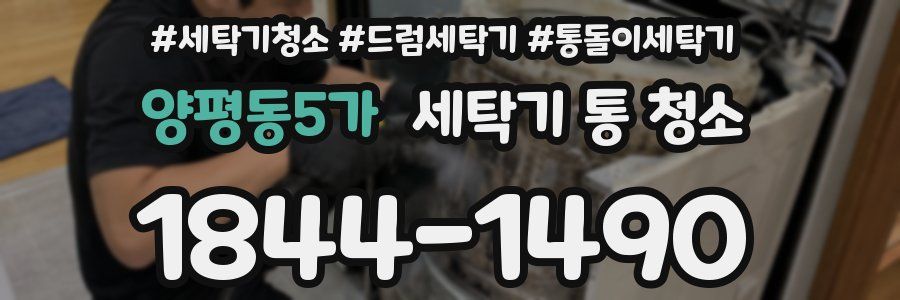 양평동5가 세탁기 통 청소